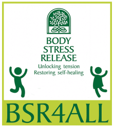 Stichting BSR4All logo